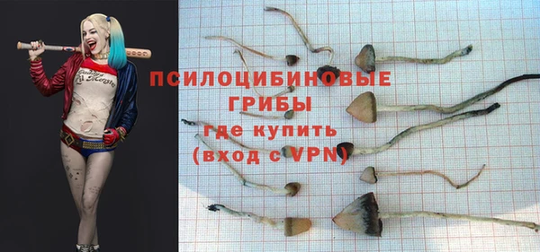 мескалин Богородицк